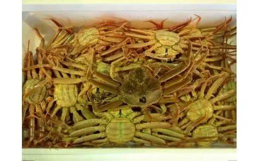 【ボイル】鳥取県産 セコガニ 訳あり 良品 2kg ）| セコガニ 訳あり活 足1本  不揃い たっぷり ※2026年11月上旬～12月下旬頃に順次発送予定