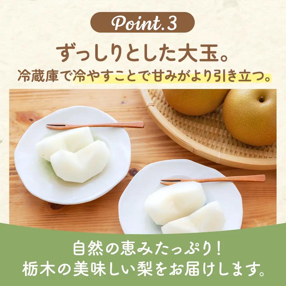 【ふるなびWEEK対象】【先行予約】梨(にっこり) 4玉～7玉入り×1箱 (4.5kg以上) ※2026年10月上旬～11月下旬頃に順次発送予定