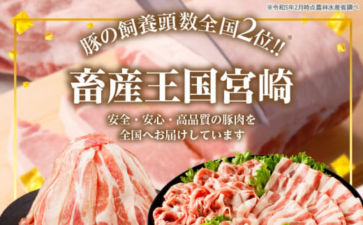 宮崎県産豚ブロック肉4種セット(合計3.5kg) 肉 豚 豚肉 国産_T009-0283