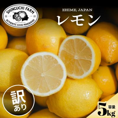 ふるさと納税 八幡浜市 【皮まで食べられる】五代目が厳選!訳ありレモン 5kg 防腐剤・ワックス不使用【C70-22】