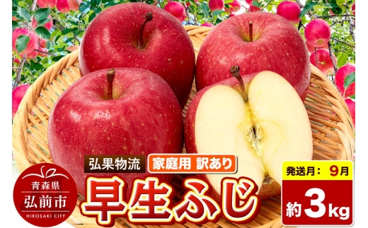 【26年9月発送】りんご 早生ふじ【訳あり】約3kg 家庭用 青森県 弘前市 [早生ふじ りんご 訳あり 家庭用 アップル おいしい 果実 果物 詰め合わせ 詰合 赤色 美味 林檎]