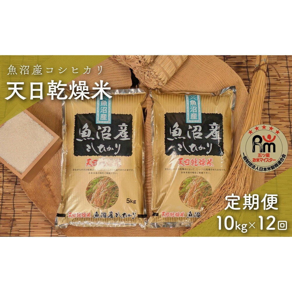 【ふるさと納税】【毎月定期便】令和7年産「五つ星お米マイスター」厳選　天日干し魚沼産コシヒカリ　精米10kg（5kg×2個）×12回 | お米 こめ 白米 食品 人気 おすすめ 送料無料