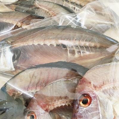 ふるさと納税 八幡浜市 八幡浜発! 竹中水産の「厳選-匠の天日干し」3種以上!2kgアップ!【F22-245】 |  | 03