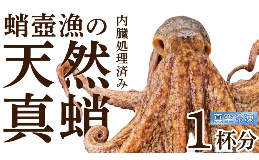 瀬戸内海産 天然真蛸 1杯分 冷凍真空パック 生 加熱なし 内蔵取り出し済 冷凍配送 国産 広島 送料無料 産地直送 お取り寄せ たこ 真蛸 たこ足 魚介類 海産物 おかず マダコ ぶつ切り おつまみ たこ焼き 酢の物 [OK39_007]