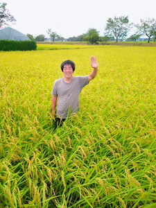 【先行予約】令和7年度産 とちぎの星5kg 栃木県芳賀町産玄米 | 米 お米 玄米 令和7年産 新米 とちぎの星 国産 単一米 期間限定 季節限定※2025年9月中旬～10月下旬頃に順次発送予定
