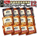 【ふるさと納税】霧島黒豚 3種の煮込みハンバーグ 12個セット - デミグラスソース仕立て 和風おろしソース仕立て 大人の照焼きソース仕立て 加工品 セット 送料無料 11-2803【宮崎県都城市は2年連続ふるさと納税日本一！】