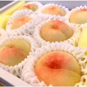 【先行予約★2026年7月中旬より順次発送予定】岡山県産　白鳳(2kg箱)【配送不可地域：離島・北海道・沖縄県】【1667406】