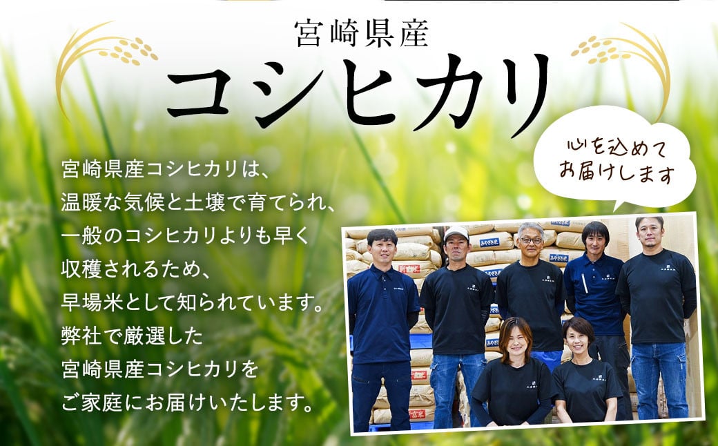 【6か月定期便】無洗米 ＜チャック付＞ 新米 国産 令和8年産 こしひかり コシヒカリ 5kg×6回 宮崎県産 お米 白米 おすすめ 簡単 ご飯 弁当 精米 おにぎり