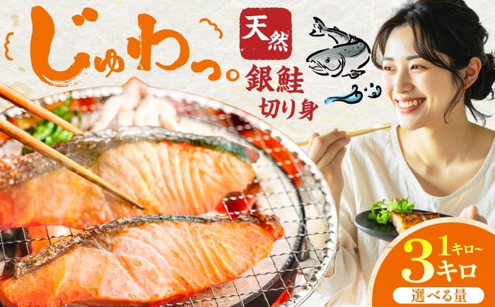 
                  【選べる容量】銀鮭 切り身 1kg-3kg 魚 さかな さけ シャケ しゃけ 切り身 焼魚 サケ 魚介 焼き魚 広川町 / 株式会社イールファクトリー [AFBS025]
                