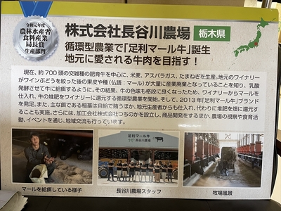 農場直送！足利マール牛ステーキ6ヶ月定期便