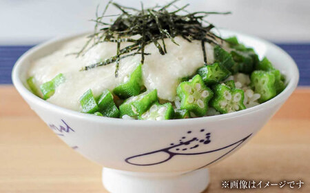 【瀬戸焼】 青 Mサイズ souzyu-en modern 【双寿園】/ 茶碗 食器 モダン / 瀬戸市[BBBI026]