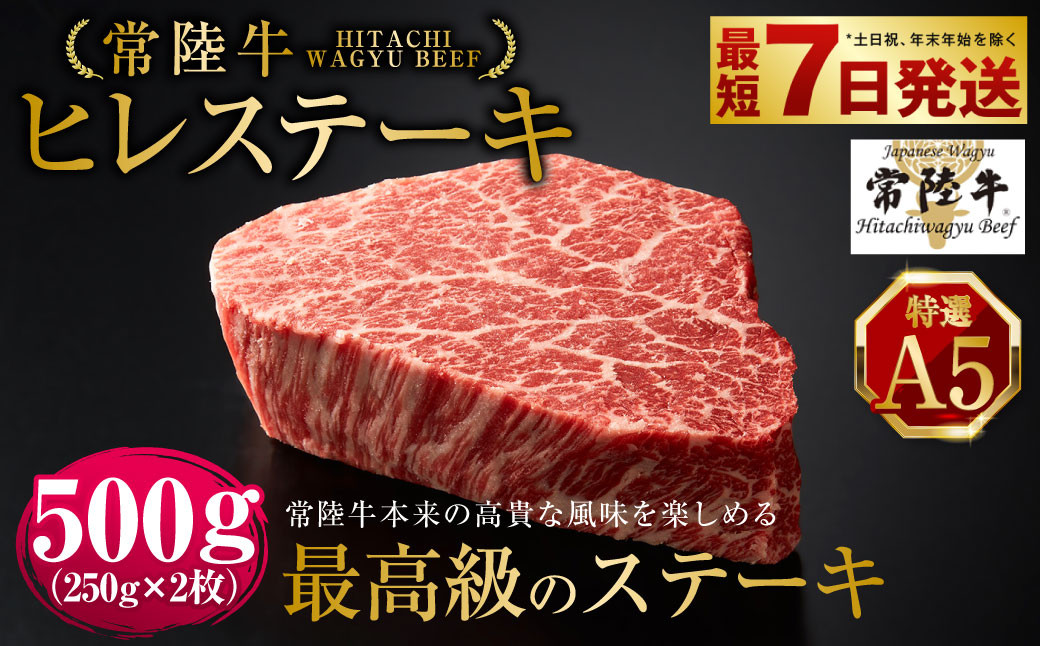 
            【常陸牛特選A5】ヒレステーキ250g×2枚 | 計500g 牛肉 肉 お肉 ヒレ ステーキ 冷凍 茨城県 守谷市
          