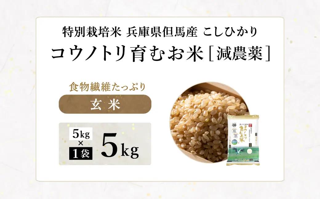 令和7年産 減農薬 特別栽培米 コウノトリ育むお米 玄米 5kg（5kg×1袋）