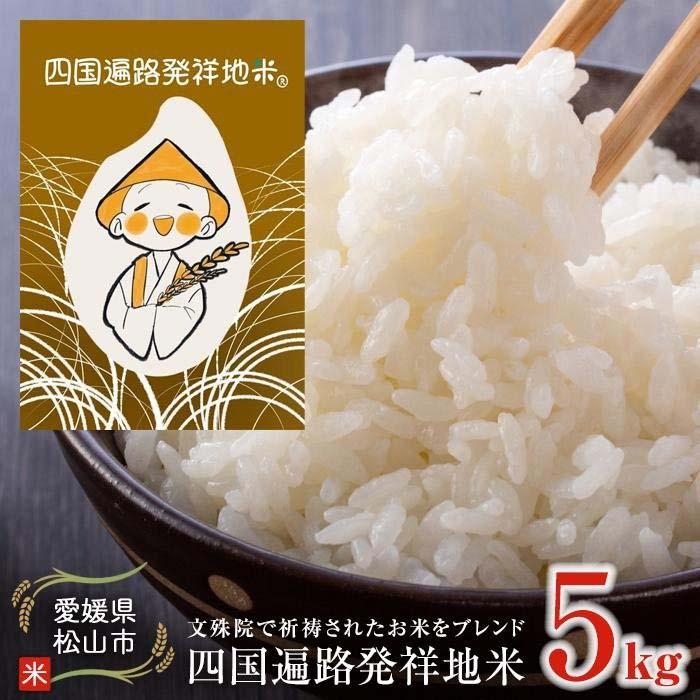 【ふるさと納税】 【令和7年度産受付】米 ひめの凜 5kg 新米 先行予約 | 四国遍路発祥地米 米 お米 精米 白米 ブランド米 送料無料 愛媛県 松山市
