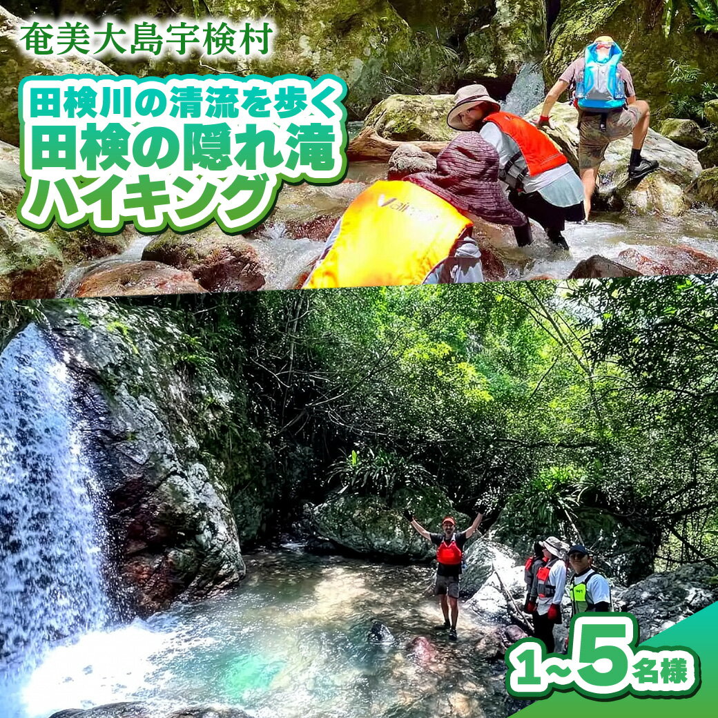 【ふるさと納税】【ツアー可能時期：4月～10月】田検の隠れ滝ハイキング 体験 奄美大島 宇検村 鹿児島県 旅行 自然 冒険 完全プライベート