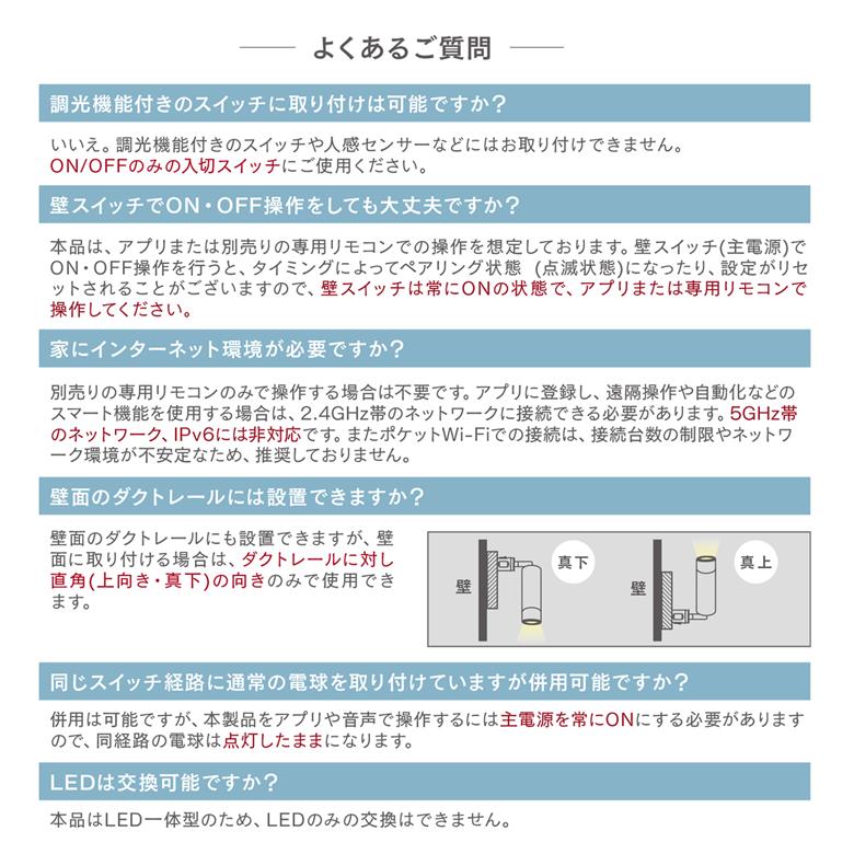 エジソンスマート ミニスポットライト 福岡市【ブラック】