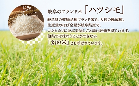 R7年産  特選米 ハツシモ 精米 10kg ×1袋 お米 米 白米 ごはん 新米 精白米 ご飯 はつしも 令和7年産 ブランド米 低農薬 お取り寄せ 産地直送 クリーンファームまき 送料無料 岐阜県