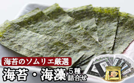 海苔のソムリエ厳選の海苔海藻5種詰合せ　【r6-5369993】