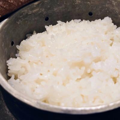 ふるさと納税 小浜市 令和7年産新米 こしひかり白米10kg |  | 02