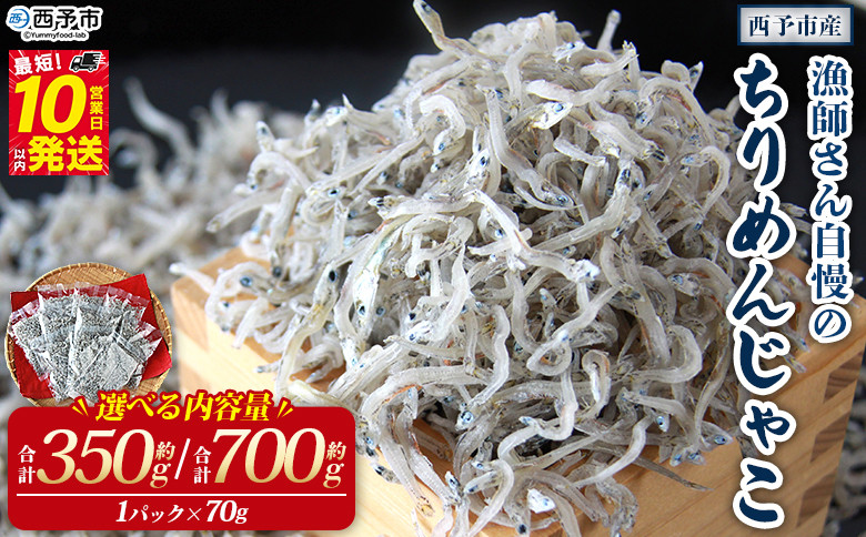 
            漁師さん自慢のちりめんじゃこ 合計350g/700g（1パック70g入り） しらす シラス おじゃこ 魚 さかな 小魚 魚介類 乾燥 海の幸 海鮮 小分け 個包装 おすそ分け 国産 産地直送 送料無料 特産品 濱田水産 愛媛県 西予市【冷蔵】
          