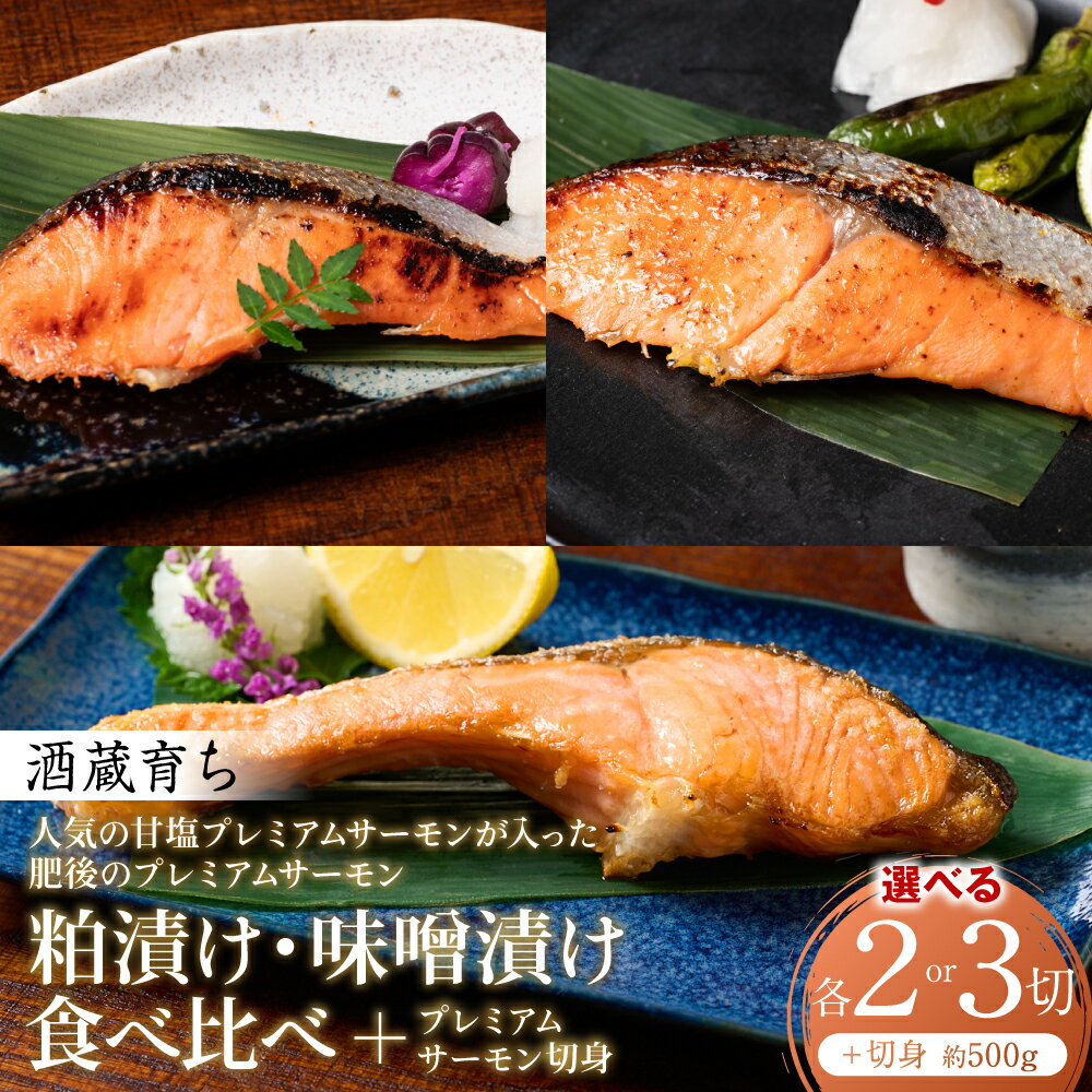【ふるさと納税】人気の甘塩プレミアムサーモン切身 約500g が入った 酒蔵育ち 肥後のプレミアムサーモン 食べ比べセット 粕漬け・味噌漬け 各2切～3切入 【選べる内容量】 サーモントラウト 銀鮭 酒粕 味噌 赤酒 切身 切り身 和食 魚 おかず 熊本県 八代市 送料無料