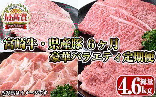 【定期便・全6回(連続)】宮崎牛・県産豚豪華バラエティ定期便 お肉 豚肉 牛肉 黒毛和牛 ブランド和牛 冷凍 国産 しゃぶしゃぶ すき焼き 焼肉 BBQ ロース ウデ モモ 赤身 食べ比べ 【R-99】【ミヤチク】