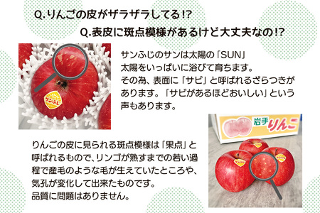 高橋りんご園　贈答用りんご　『サンふじ』5kg　フルーツキャップ付き