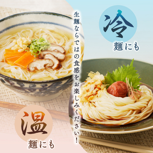 大雪生ひやむぎ・生そうめん１２食セット（ストレートつゆ付）