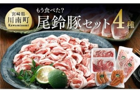 もう食べた？尾鈴豚セット バラエティ セット 宮崎県川南町 豚肉