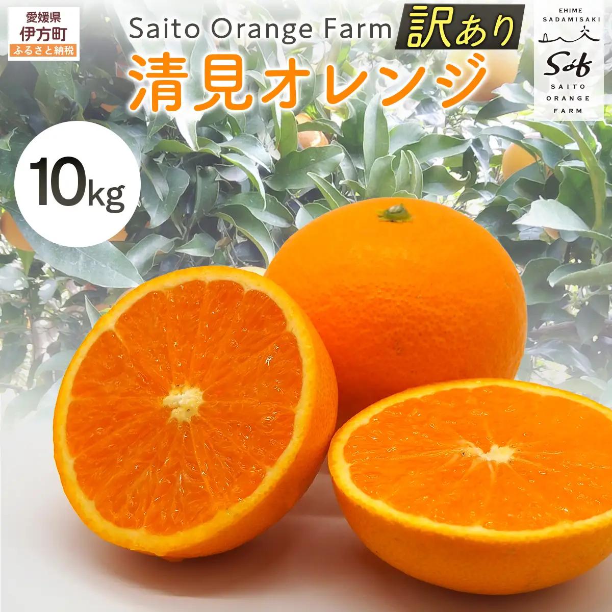 【先行予約】Saito Orange Farmの訳あり清見オレンジ10kg（2027年3月中旬頃より順次発送予定） IKTAQ010