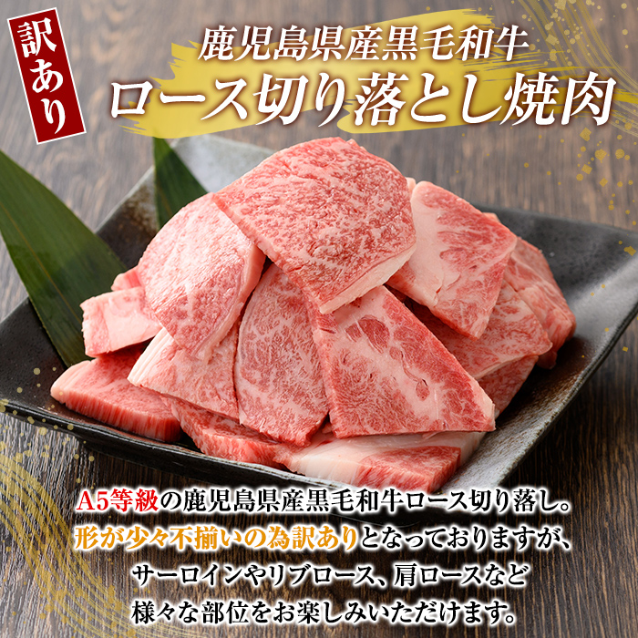 K-321-A ＜訳あり・不揃い＞鹿児島県産黒毛和牛＜A5等級＞ロース切り落とし焼肉(計1kg・500g×2P)【ビーフ倉薗】霧島市 牛肉 ヤキニク 焼き肉 国産 鹿児島県産 黒毛和牛 肉 精肉 牛
