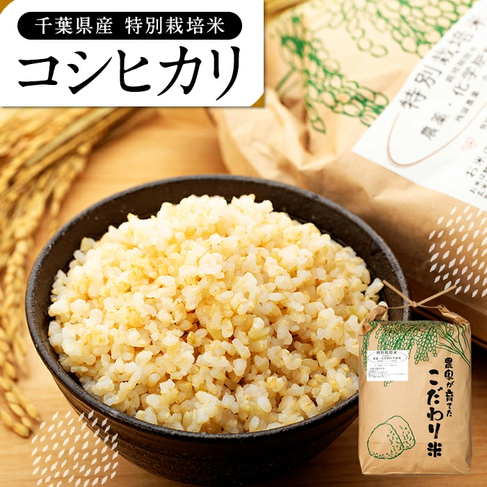 AB1-006 特別栽培米 コシヒカリ（玄米）10kg