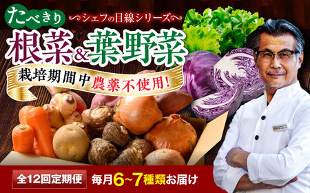 【全12回定期便】根菜×葉野菜 （6-7種）少量食べきりセット　 野菜 果物 やさい 少量セット[AGBX054]