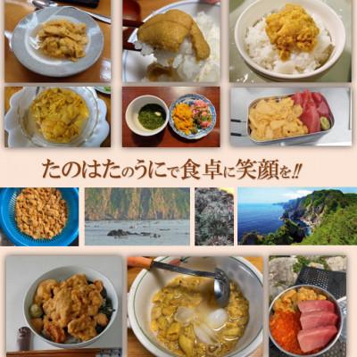 ふるさと納税 田野畑村 【令和7年6月から順次お届け】　断崖と荒波で育つ岩手・北三陸たのはた　瓶生うに(160g入り2本) |  | 01