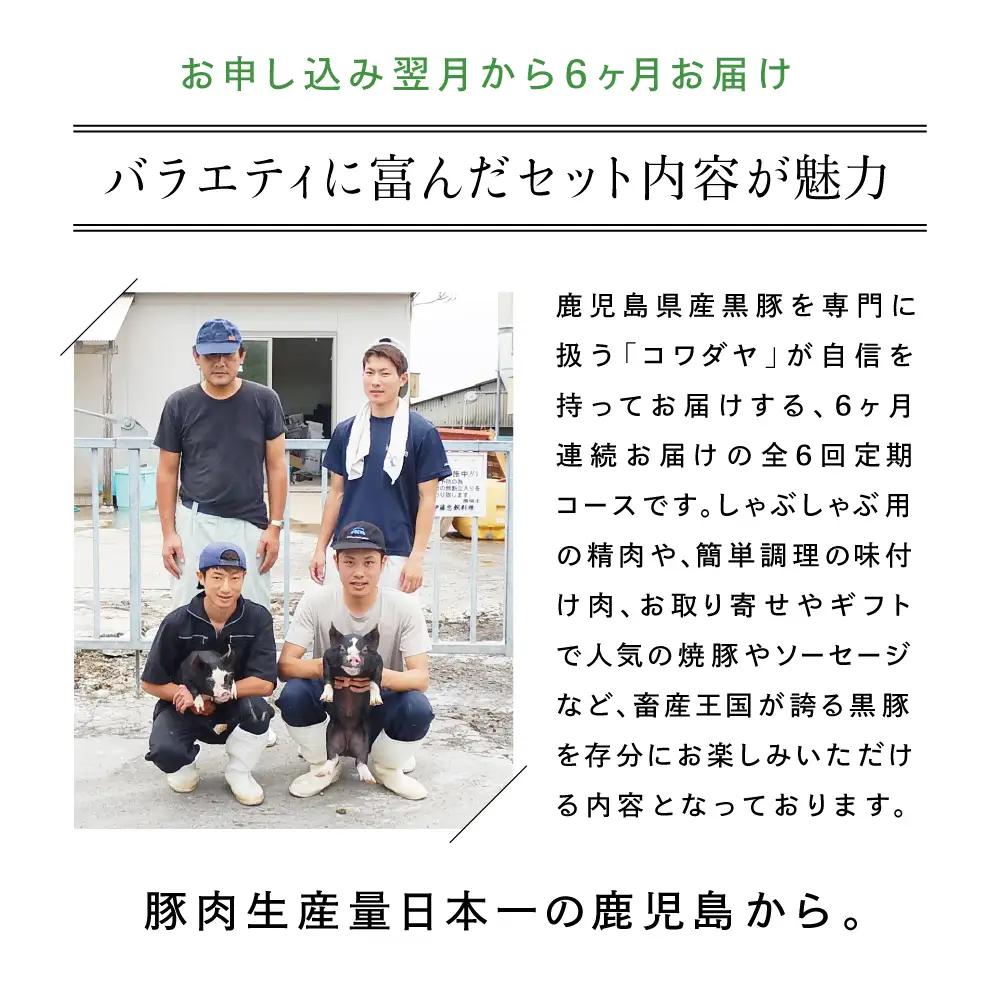 【定期便】黒豚のプロフェッショナル「コワダヤ」の厳選黒豚味わい尽くしコース（全6回） しゃぶしゃぶ 生姜焼き 焼き豚 焼豚 ウインナー ソーセージ ロース 切落し 切り落とし 鹿児島県産 冷凍 南さつ