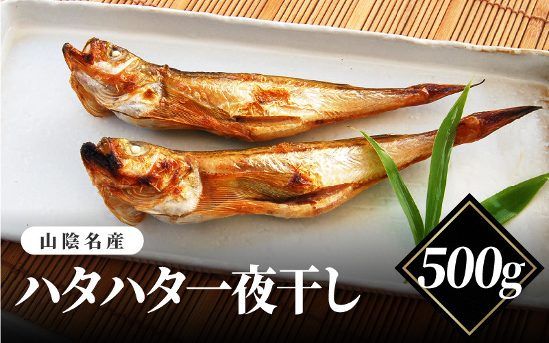 
            【レビューキャンペーン】山陰名産　ハタハタ一夜干し　500ｇ
          