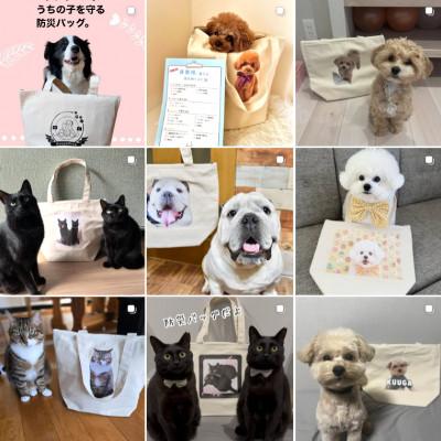 ふるさと納税 東大阪市 【ペット写真プリント付】ペット用防災バッグ(ペット防災基本ガイド&非常時持ち物チェックリスト同梱) |  | 03