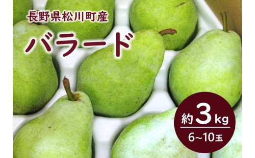 KL09 洋梨 バラード 約3kg 贈答 松川町産／2026年10月中旬頃から配送予定 // 長野県 松川町 梨 洋梨 洋ナシ バラード ラフランス交配品種 日本生まれ 農家直送 西洋梨 果物 フルーツ