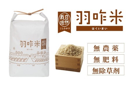 【米焼酎】 のと千里浜 (720ml X 1本) 焼酎 米焼酎 F035