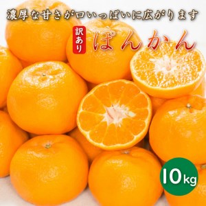 先行予約 訳あり 減農薬 ポンカン 10kg 愛南フルーツ ポンカン みかん 果物 フルーツ 文旦 河内晩柑 温州みかん レモン ブラッド オレンジ ネーブル せとか なつみ 蜜柑 檸檬 果物 果実 ジューシー 甘い 愛媛県 愛南町 サイズミックス サイズ混合 ポンカン 不揃い 柑橘 蜜柑 ポンカン みかん 産地 産直 ポンカン 発送期間: 2025年1月中旬～2月中旬