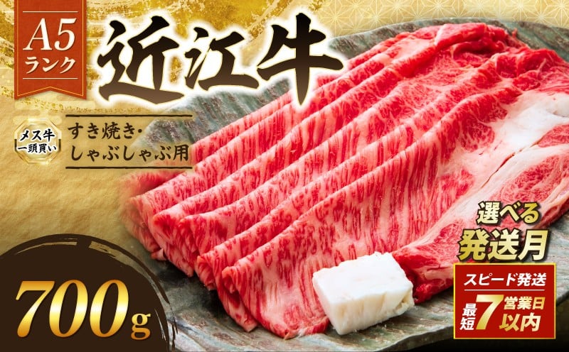 
            【選べる発送月】 近江牛 A5 特上ロース すき焼き 700g 最短7営業日以内 スピード発送 9月~3月発送 A5ランク メス牛 特上 近江牛ロース ロース 牛肉 肉 お肉 和牛 黒毛和牛 国産牛 日本三大和牛 雌牛 ブランド牛 すきやき しゃぶしゃぶ お歳暮 おすすめ 滋賀 彦根 
          