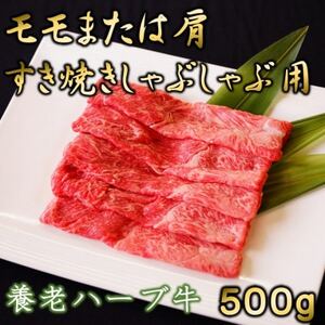 養老ハーブ牛　モモまたは肩　すき焼き・しゃぶしゃぶ両用　500g【配送不可地域：離島】【1273629】