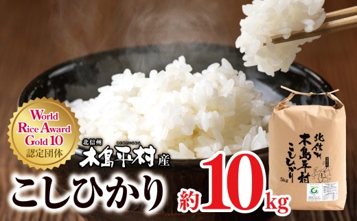 木島平産こしひかり 約10kg | 米 白米 精米 特別栽培米 コシヒカリ こしひかり お米 おこめ 減農薬 長野県 木島平村 信州