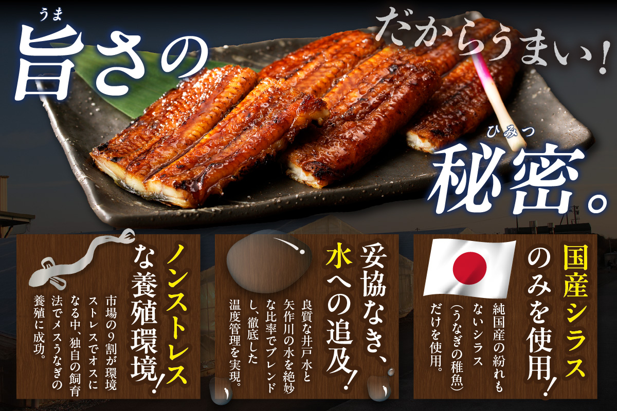 【土用の丑の日までにお届け】三河高浜産三代目養鰻家の白焼きうなぎ 特大2尾（350ｇ以上）_74-379-ｄ
