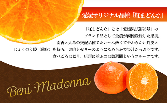 【100箱限定！申込11/20まで】愛媛県産 紅まどんな 「青秀」JA正規品 約3kg10玉～15玉入り 数量限定 12月～順次発送＜柑橘 甘い 高級 極上 JA直送 正規みかん 愛果28号＞