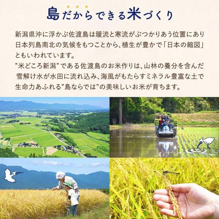 【新米】佐渡島産コシヒカリ 白米10Kg(5Kg×2袋)  特別栽培米 令和6年産 ”ベストファーマー認証受賞歴”