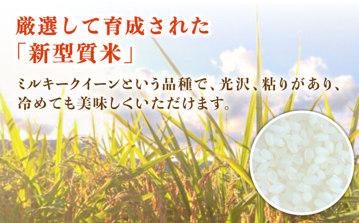 【先行予約】スイートミルク（２キロ×２袋）【山口商店】[PEC004]