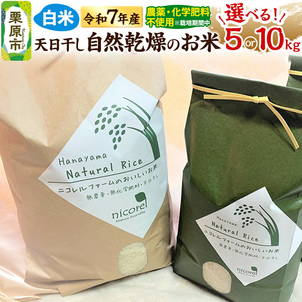 【ふるさと納税】【白米】令和7年産 (栽培期間中)農薬化学肥料不使用・天日干し自然乾燥のお米 【選べる容量 5・10kg】