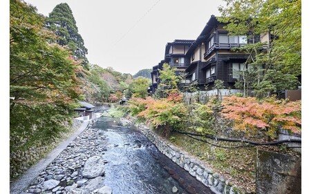 【黒川温泉で利用可能】 黒川温泉ふるさと宿泊補助券 10,000円分 宿泊補助券 南小国町 黒川温泉 旅行券 宿泊券 チケット 商品券 ギフト 贈答用 温泉 温泉地 食事 日帰り 日帰り旅 熊本旅行 