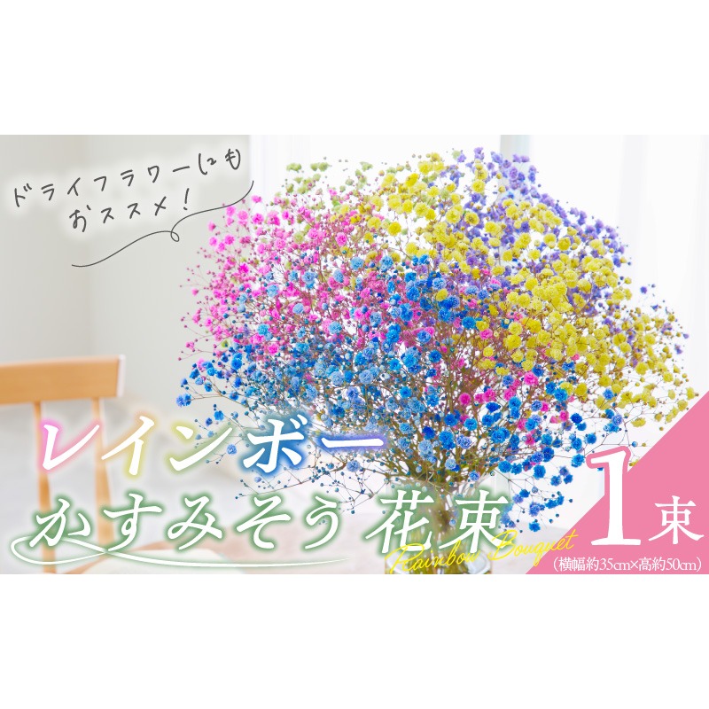【佳花園】レインボーかすみそう 花束［156K03］